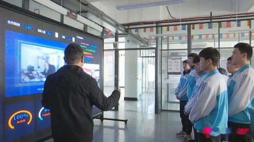 新泰市持續(xù)推進職業(yè)教育創(chuàng)新，更好服務(wù)經(jīng)濟社會發(fā)展與社會經(jīng)濟咨詢服務(wù)