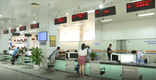 北海深入貫徹落實“十六字”工作方針，以專業咨詢服務驅動經濟社會邁上新臺階